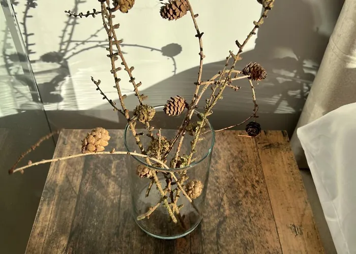 بيت للعطل Natura Era *